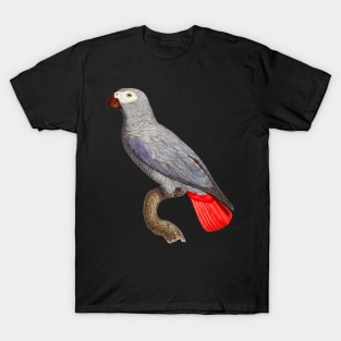 Black Panther Art - Beautiful Parrot 19 T-Shirt